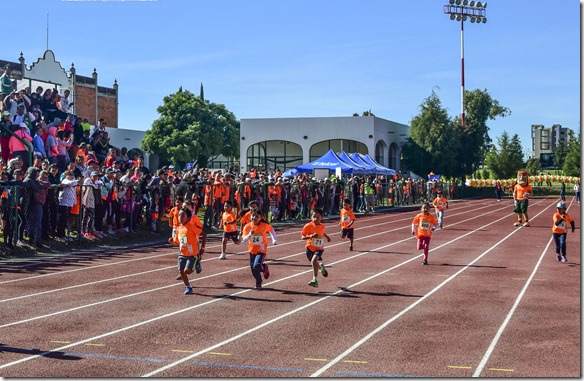 carrera udlap 2016 (3)