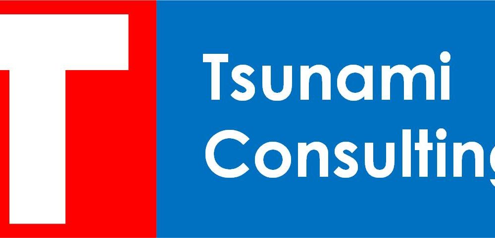 Tsunami Consulting